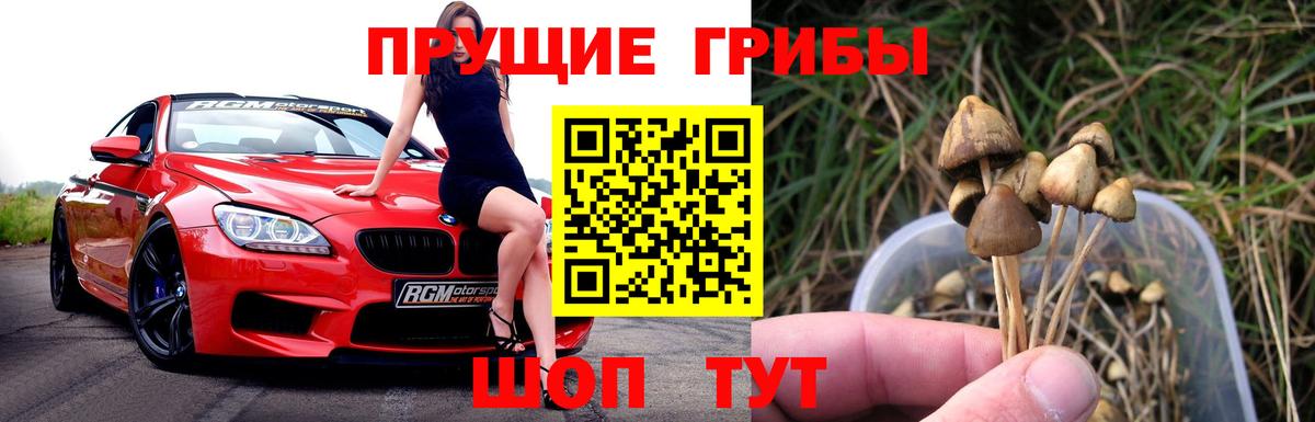 Нефтекамск  Псилоцибиновые грибы мухоморы  дарнет шоп  Вход с VPN 